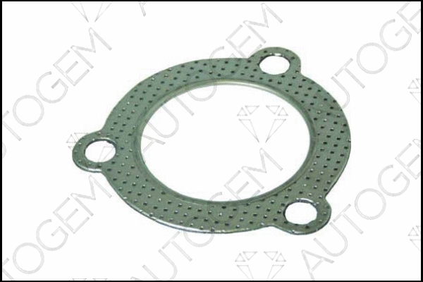 Gasket, exhaust pipe (CEG352)