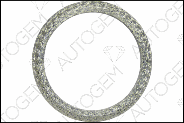 Seal Ring, exhaust pipe (CEG9331)