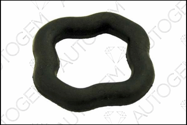 Mount, exhaust system (CSM214)