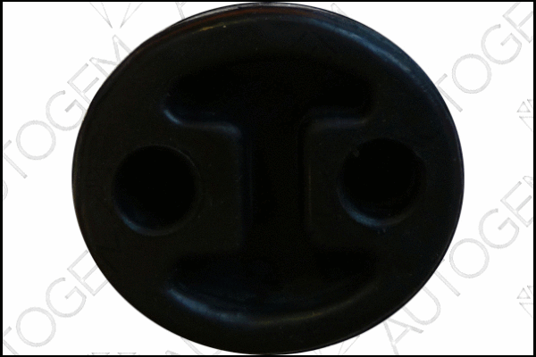 Mount, exhaust system (CSM7208)