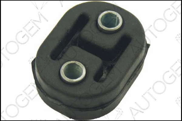 Mount, exhaust system (CSM723)