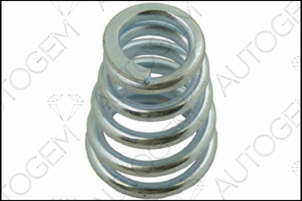 Spring, muffler (CSC48)