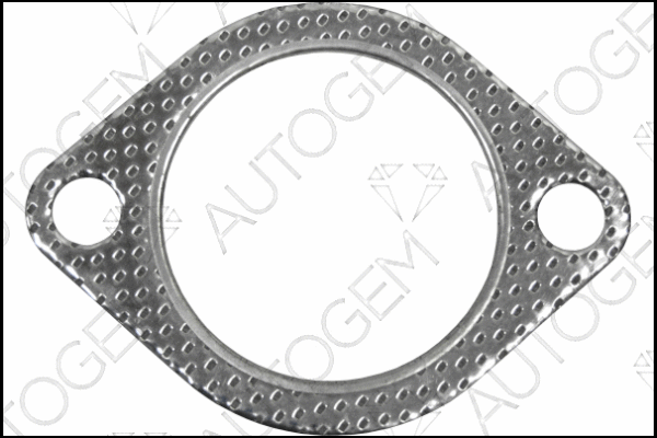 Gasket, exhaust pipe (CEG832)