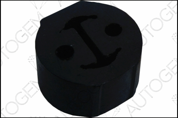 Mount, exhaust system (CSM763)