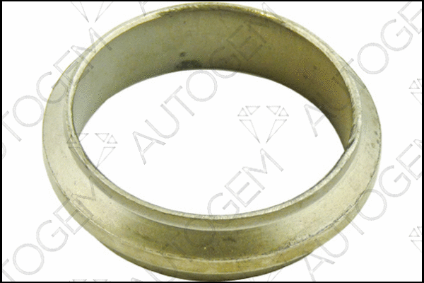 Seal Ring, exhaust pipe (CEG187)