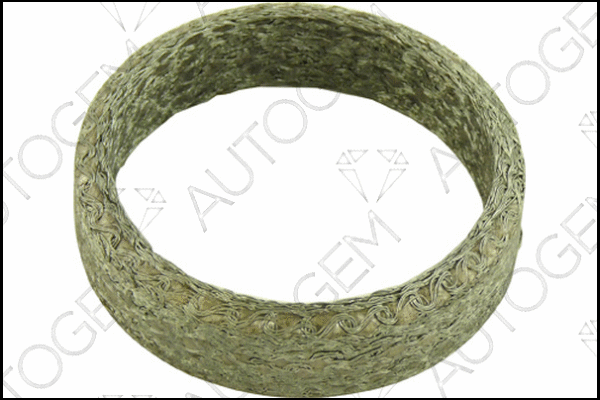 Seal Ring, exhaust pipe (CEG455)
