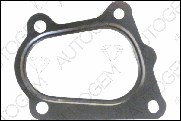 Gasket, exhaust pipe (CEG7256)
