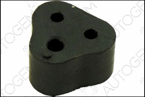 Mount, exhaust system (CSM171)