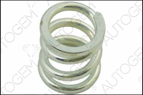 Spring, muffler (CSC198)