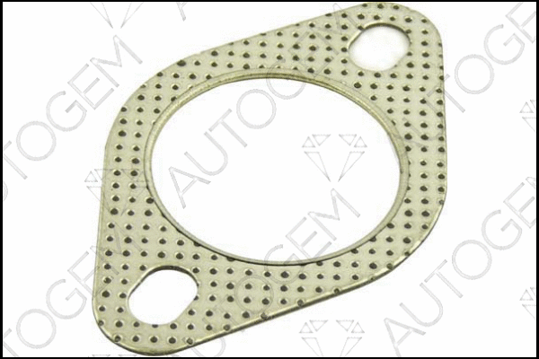 Gasket, exhaust pipe (CEG263)