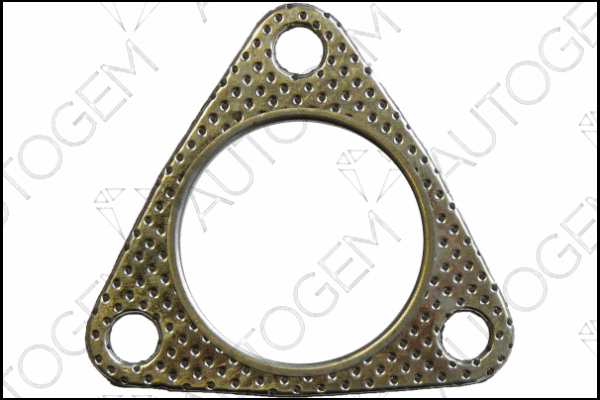 Gasket, exhaust pipe (EGA303)