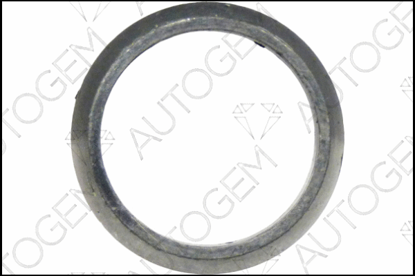 Seal Ring, exhaust pipe (CEG5918)