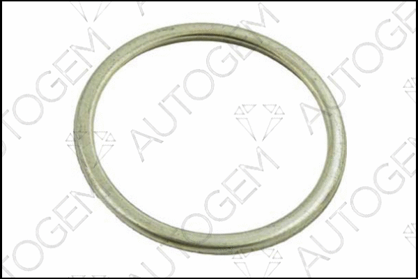 Seal Ring, exhaust pipe (EG55)