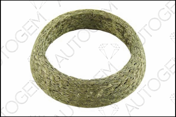Seal Ring, exhaust pipe (CEG55)