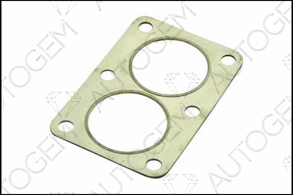 Gasket, exhaust pipe (CEG58)