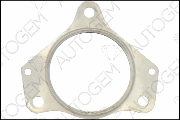 Gasket, exhaust pipe (CEG6810)