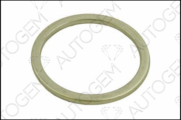 Seal Ring, exhaust pipe (CEG315)