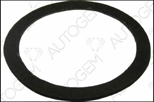 Gasket, exhaust pipe (CEG350)