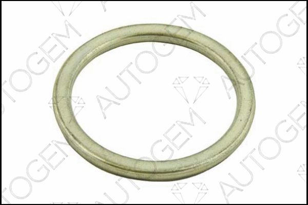 Seal Ring, exhaust pipe (CEG213)