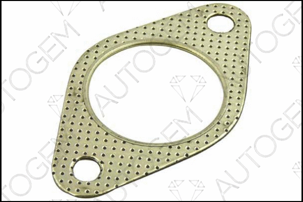 Gasket, exhaust pipe (CEG293)