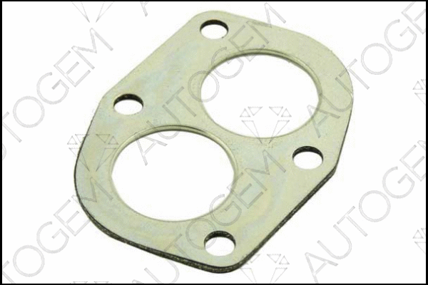 Gasket, exhaust pipe (CEG04)