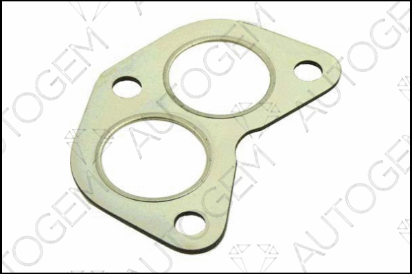 Gasket, exhaust pipe (CEG10)