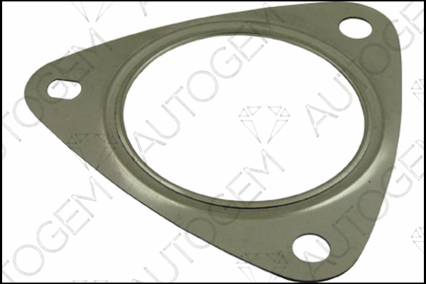 Gasket, exhaust pipe (CEG777)