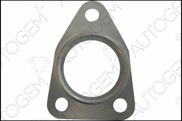 Gasket, charger (CEG5432)