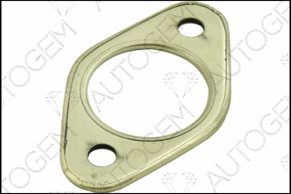 Gasket, exhaust pipe (CEG125)