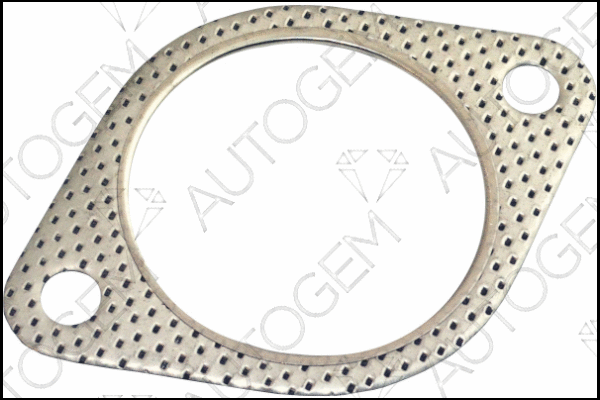 Gasket, exhaust pipe (CEG8507)