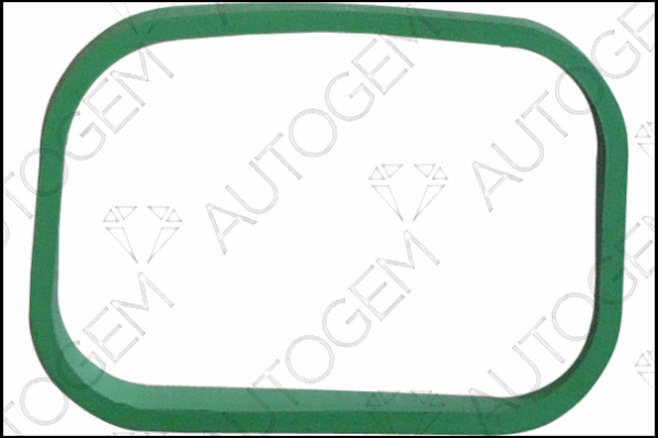 Gasket, intake manifold (CSM984)