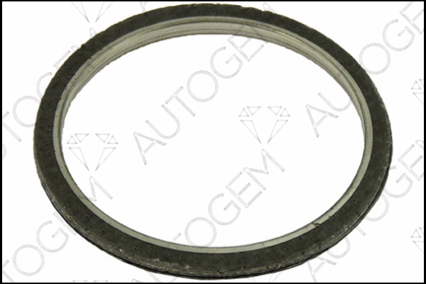Gasket, exhaust pipe (CEG527)