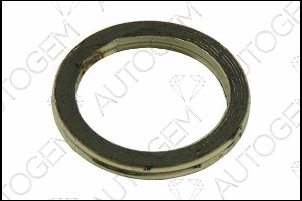 Seal Ring, exhaust pipe (CEG674)