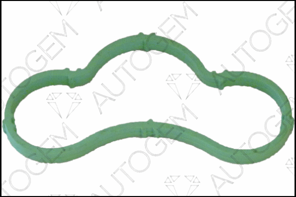 Gasket, intake manifold (CSM7806)