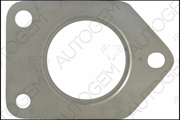 Gasket, charger (TBG142)