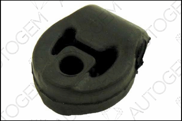 Mount, exhaust system (CSM166)