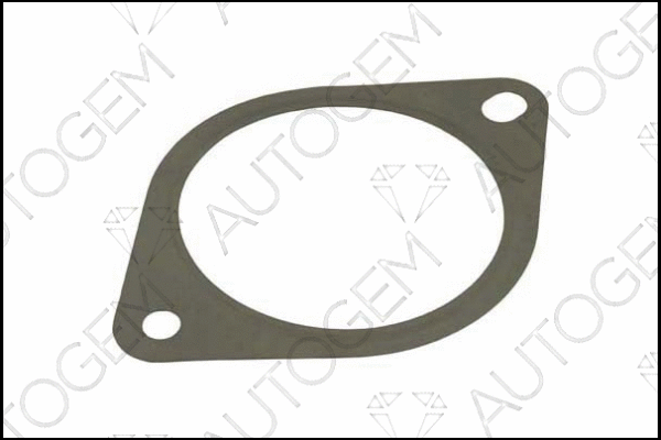 Gasket, exhaust pipe (CEG721)