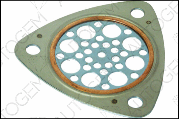Gasket, exhaust pipe (CEG7505)