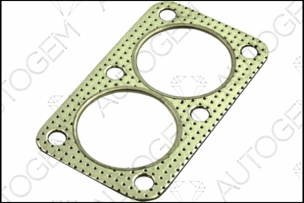Gasket, exhaust pipe (CEG11)