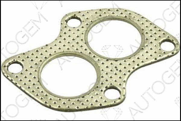 Gasket, exhaust pipe (CEG230)