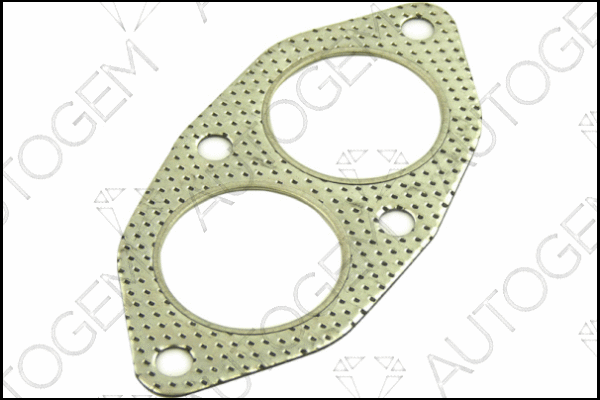Gasket, exhaust pipe (CEG821)