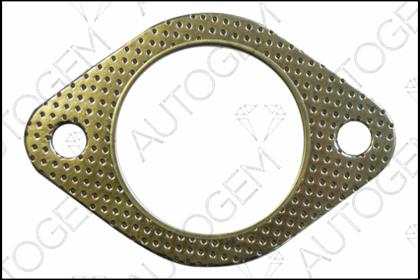Gasket, exhaust pipe (EGA685)