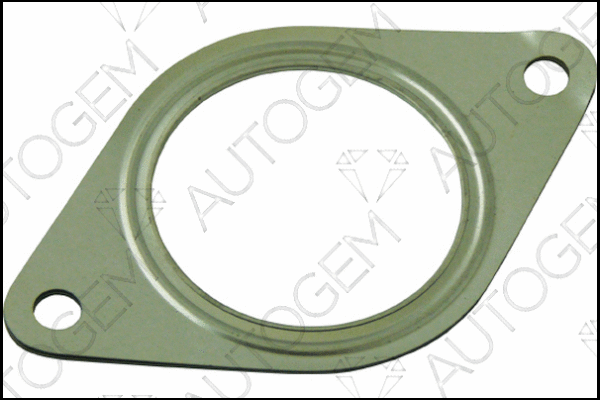 Gasket, exhaust pipe (CEG548)