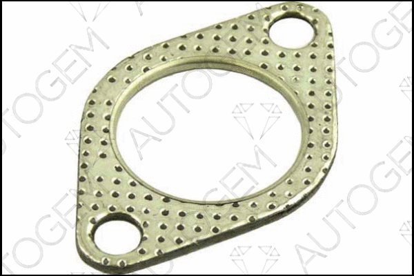Gasket, exhaust pipe (CEG33)