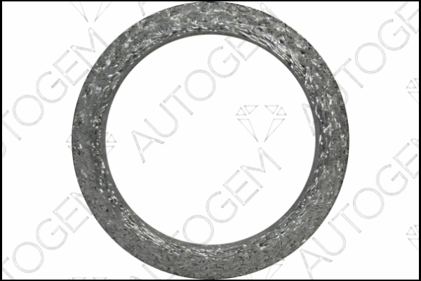 Seal Ring, exhaust pipe (CEG9323)