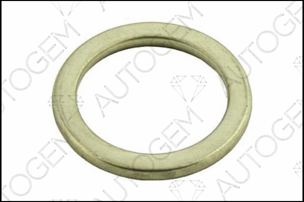 Seal Ring, exhaust pipe (CEG164)