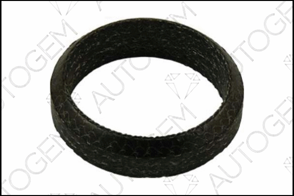 Seal Ring, exhaust pipe (EG02)