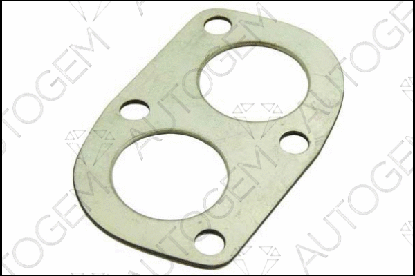 Gasket, exhaust pipe (CEG05)