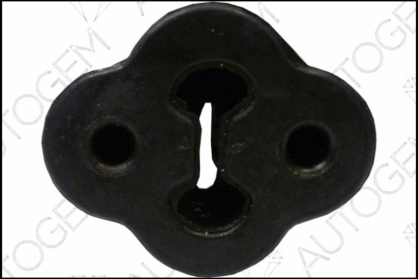 Mount, exhaust system (CSM651)