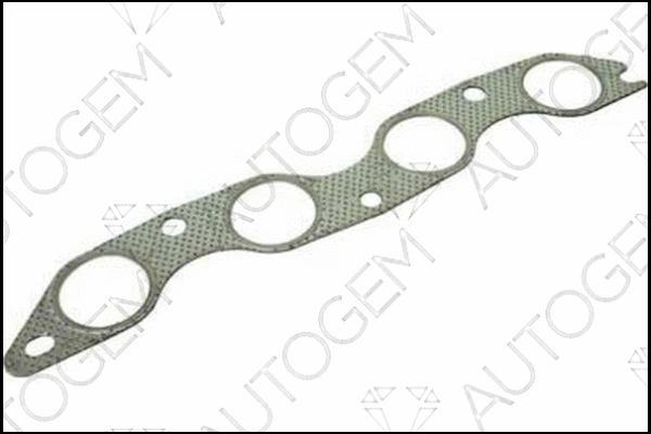 Gasket, exhaust manifold (MG841)